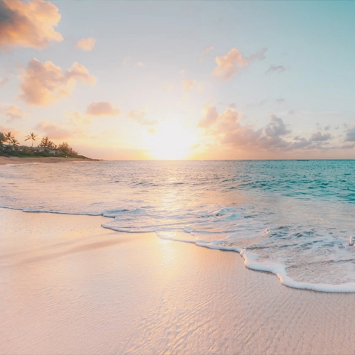 Camping Les Genêts d'Or